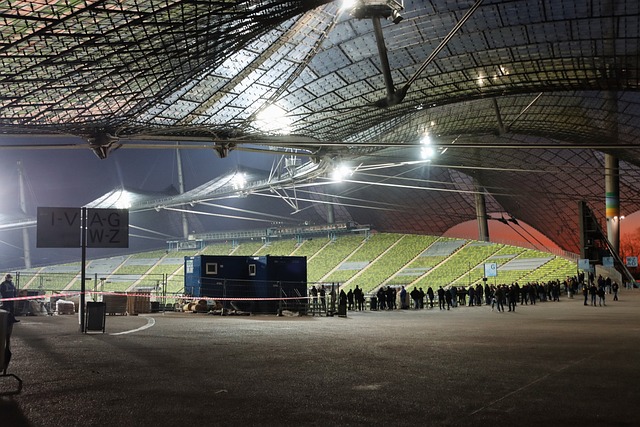 特表现出的 特表现出的