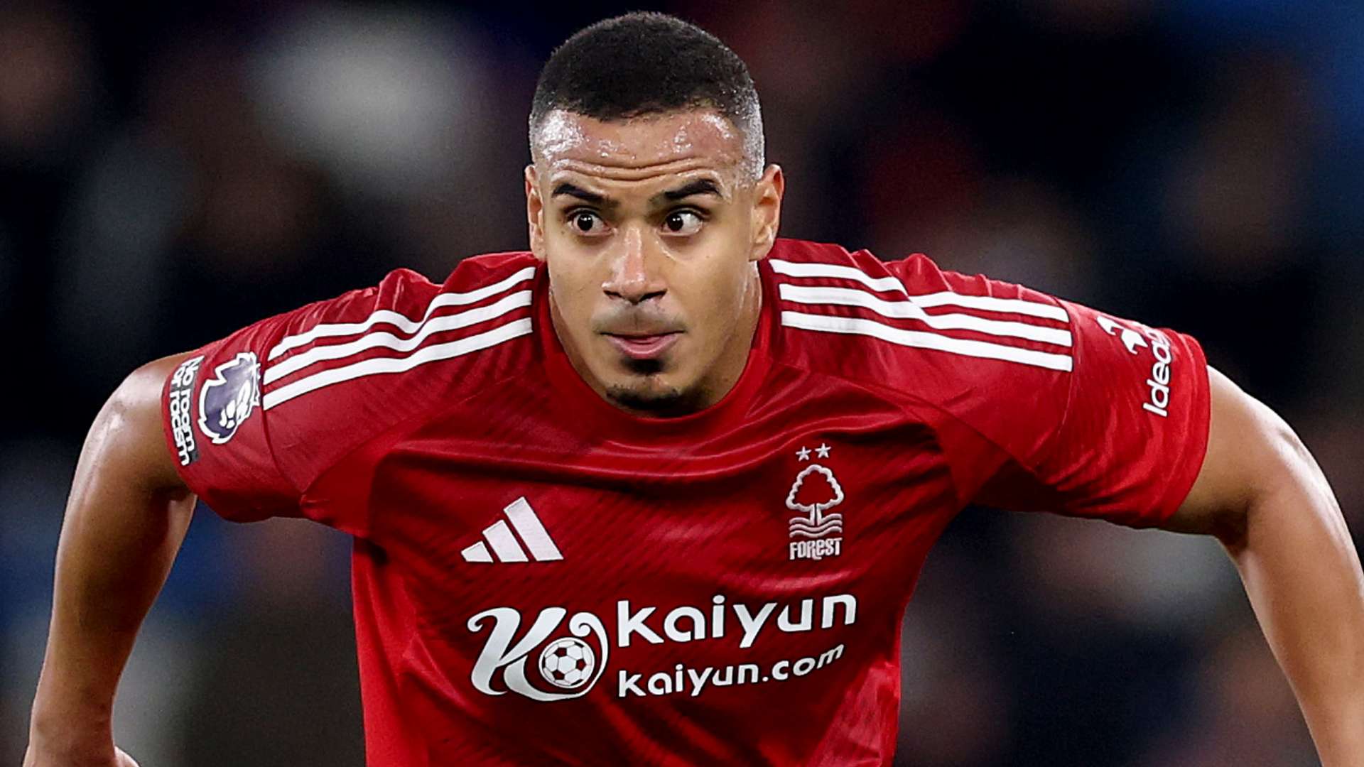 意味着巴黎 意味着巴黎