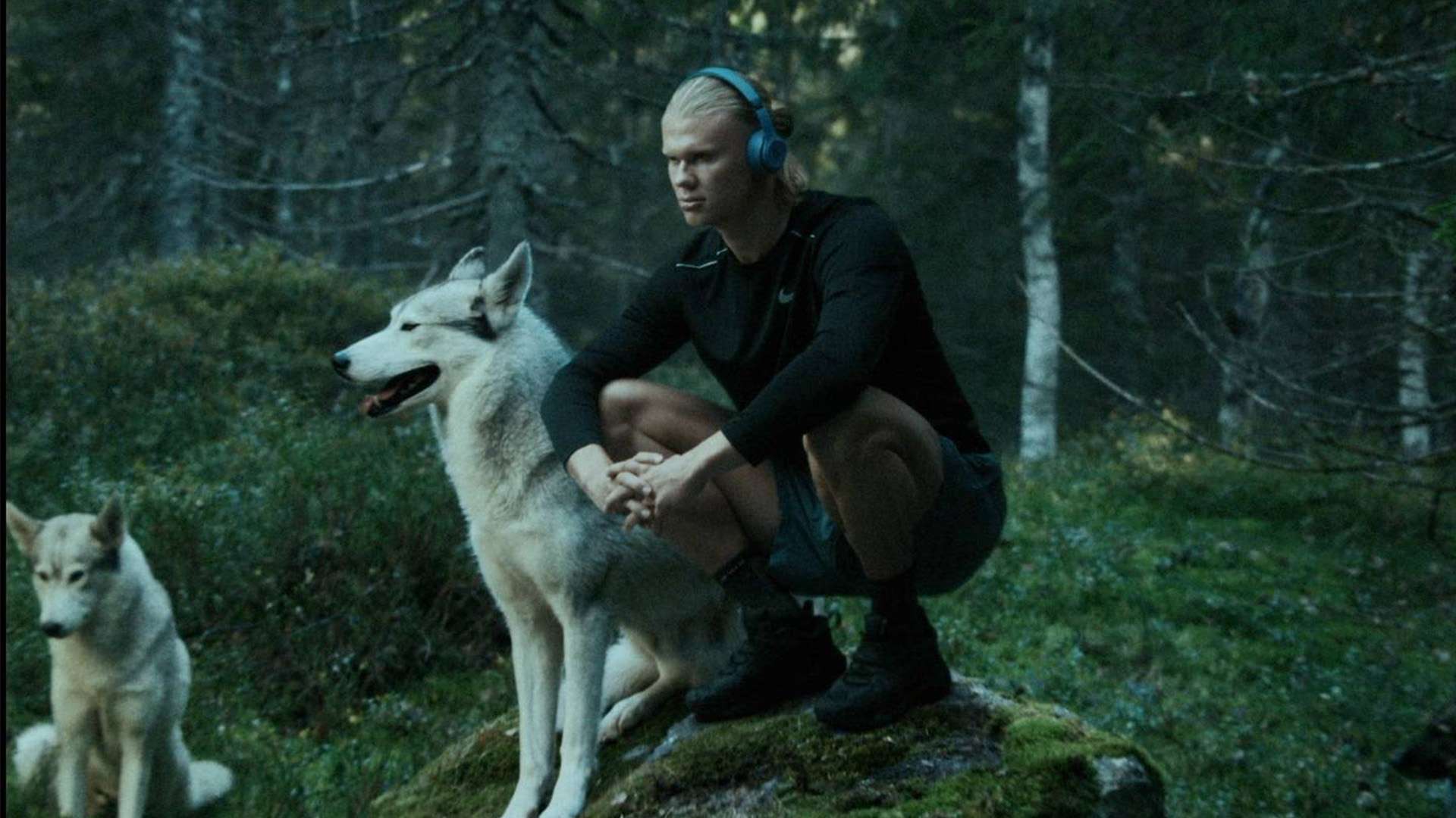 更是热刺展 更是热刺展