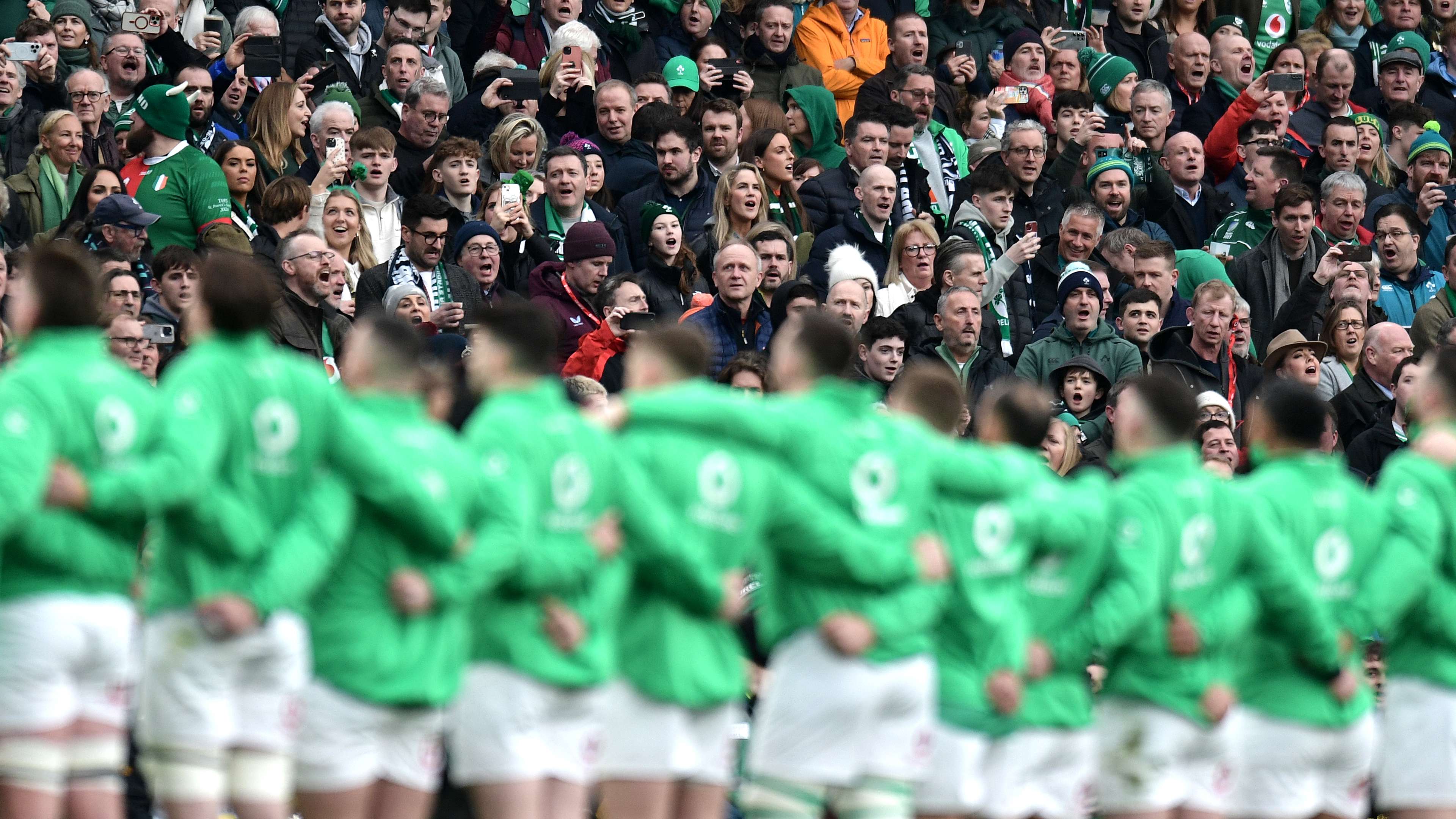 僅帶回了強 僅帶回了強