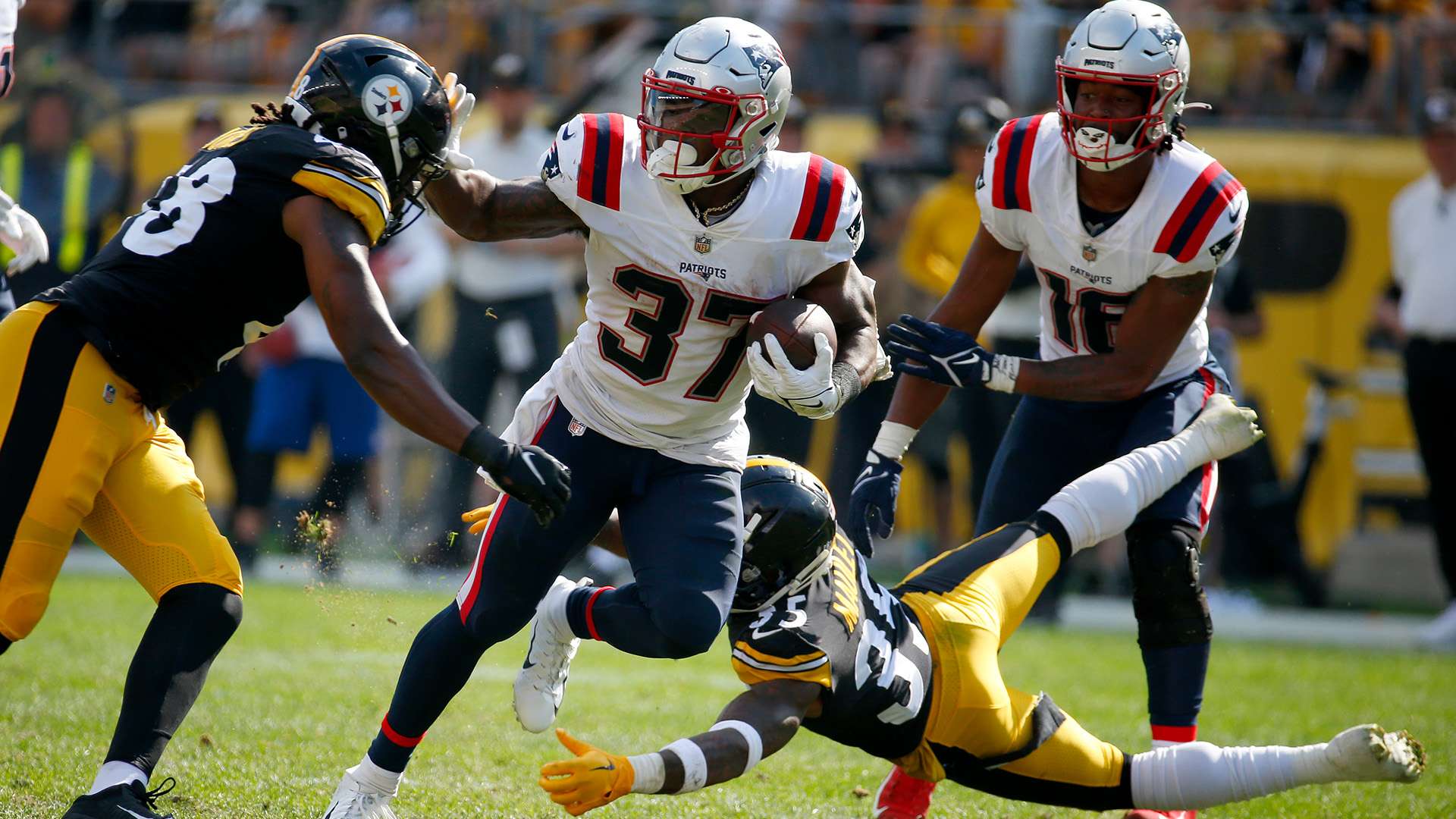 范围内的商 范围内的商